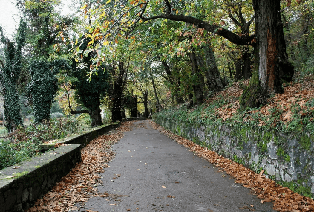 Castellammare. La tradizione del Martedì di Monte Coppola