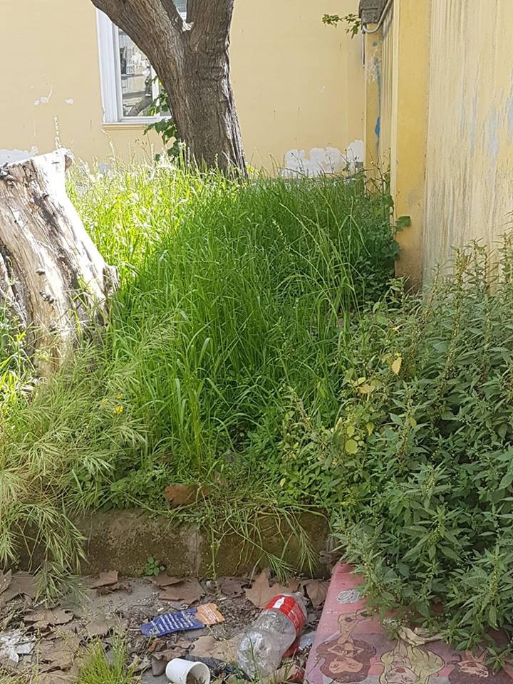 C.mare di Stabia, Basilio Cecchi – tra topi e api il degrado regna sovrano