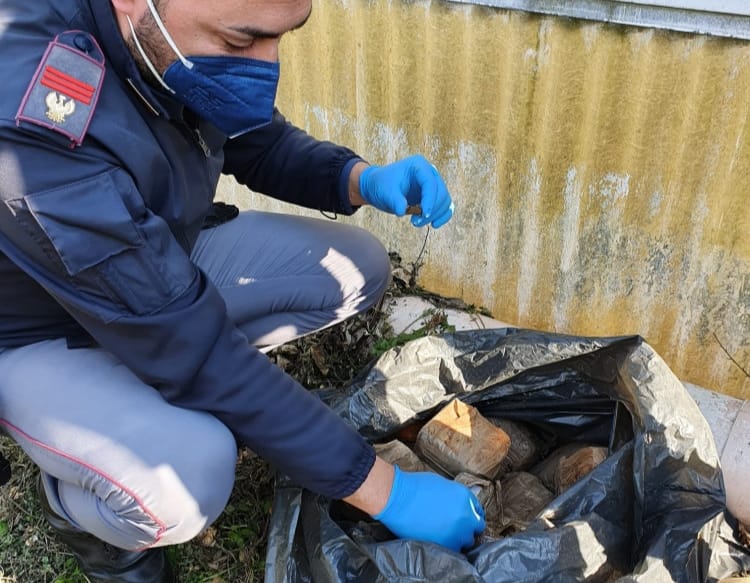 Pompei, la polizia droga nascosta in terreno incolto polizia