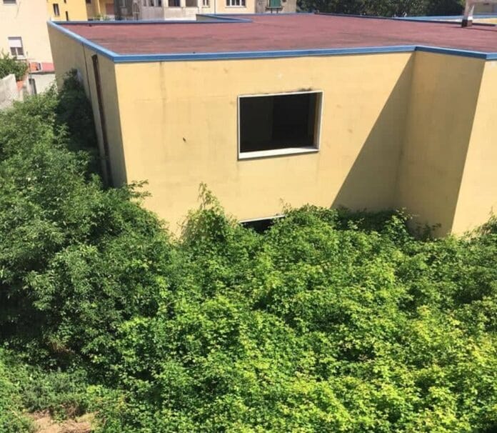 scuola