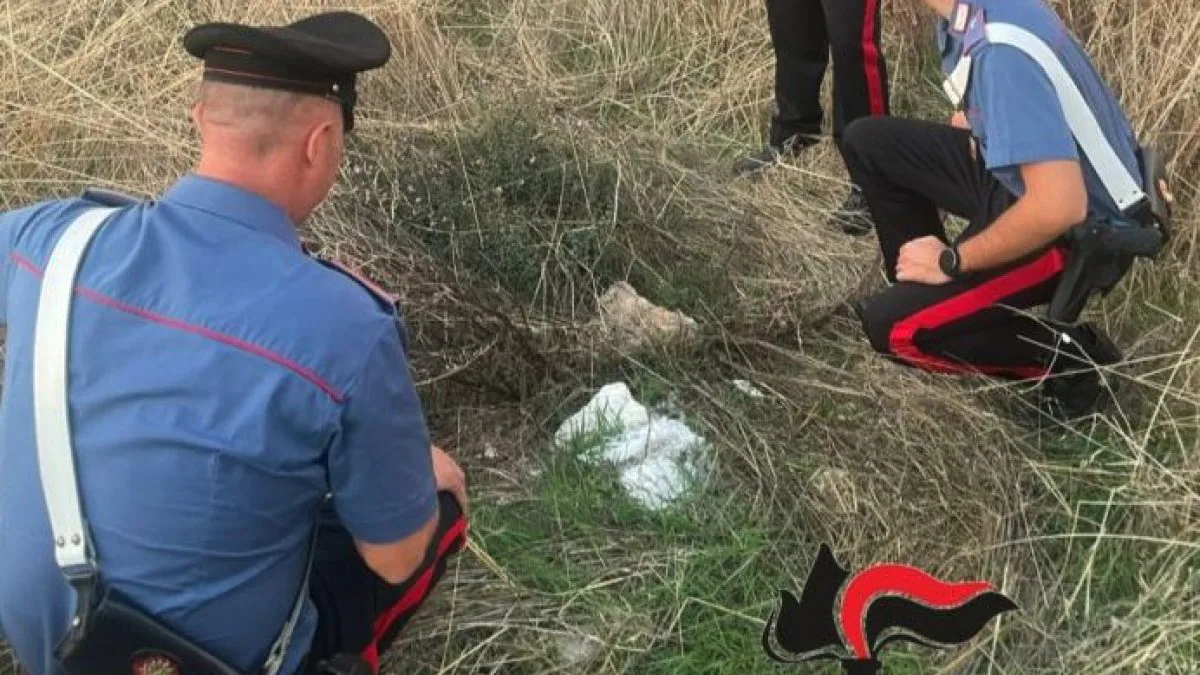 Trapani, neonato abbandonato in un sacchetto in campagna carabinieri