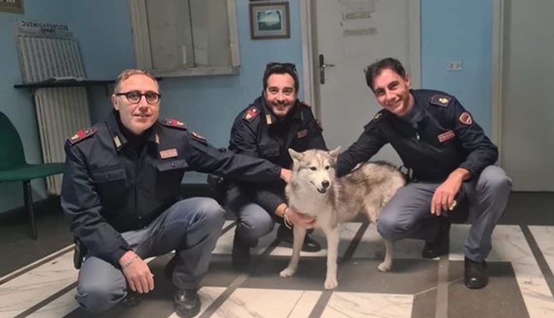 Cane entra nel furgone della polizia a Sarno