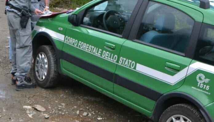 Le attività del Gruppo Carabinieri Forestale di Napoli, volte alla tutela dell’ambiente e alla prevenzione dell’inquinamento