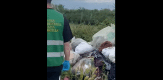 Discarica abusiva a Sarno
