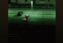 Castellammare di Stabia, giovani in scooter trasformano il parcheggio FS in una pista: esasperati i residenti
