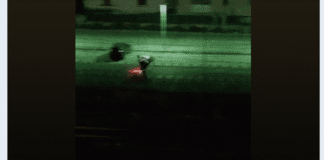 Castellammare di Stabia, giovani in scooter trasformano il parcheggio FS in una pista: esasperati i residenti